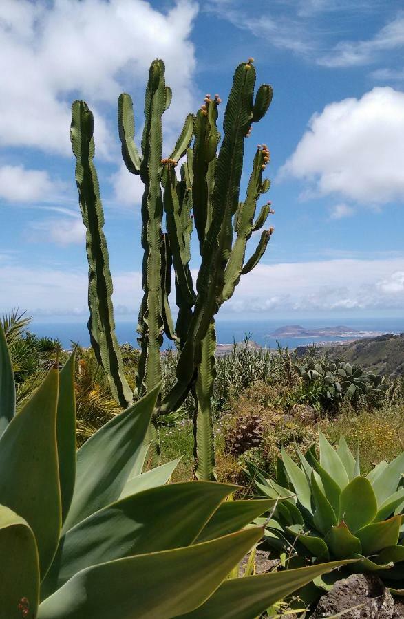 *****Finca Bella Vista Arucas Kültér fotó
